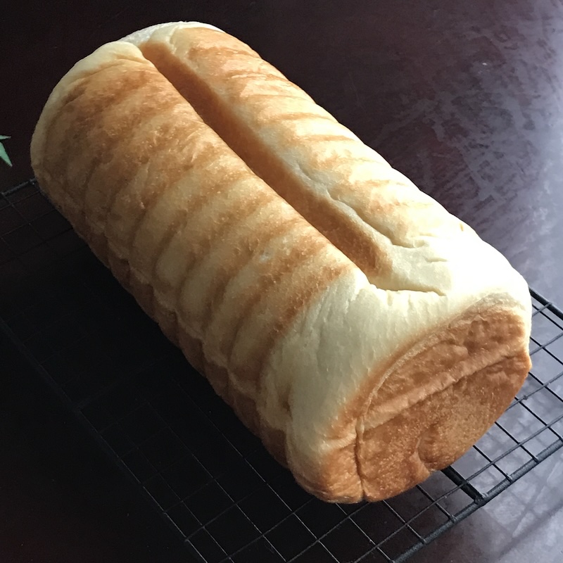 丸食