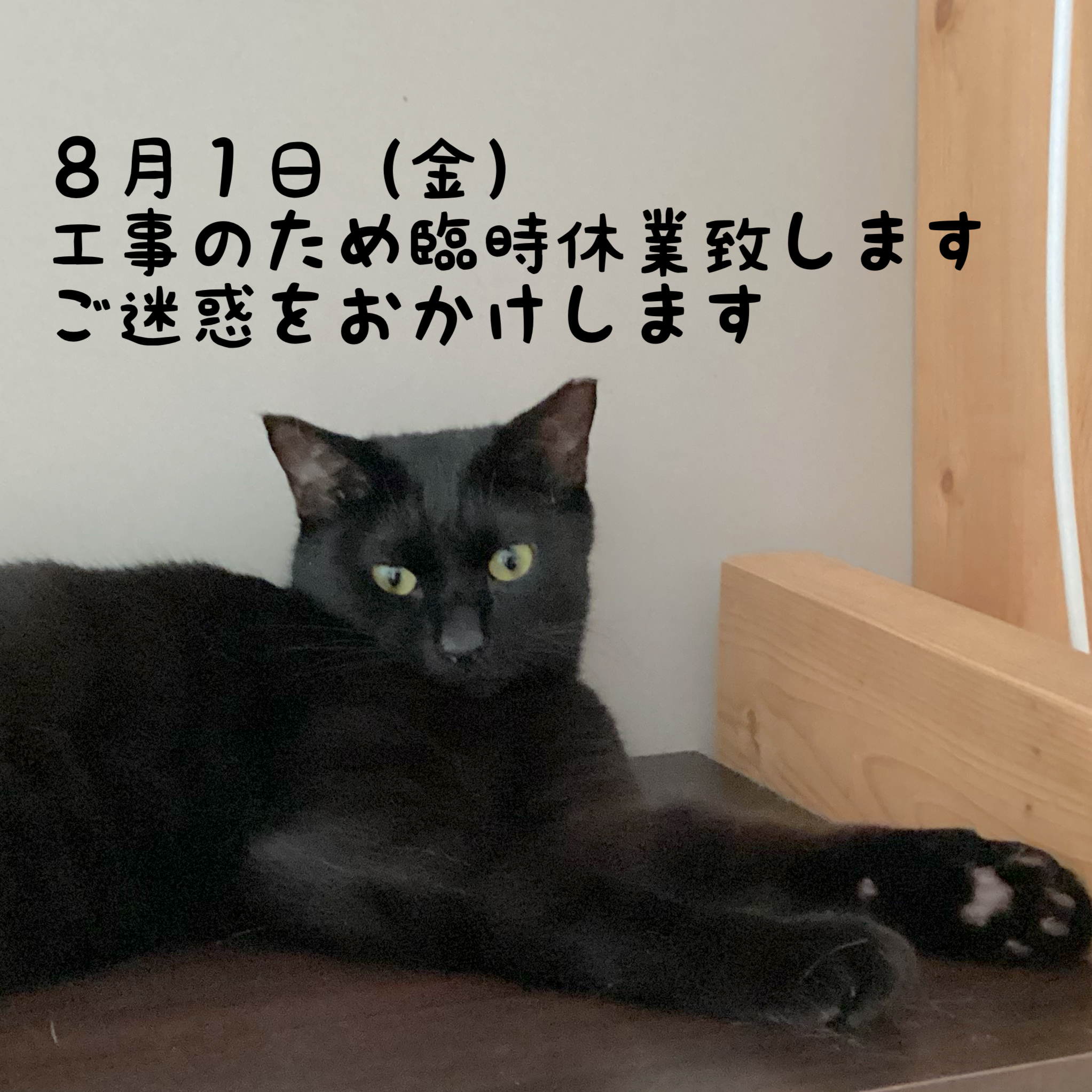 8月1日（金）臨時休業致します