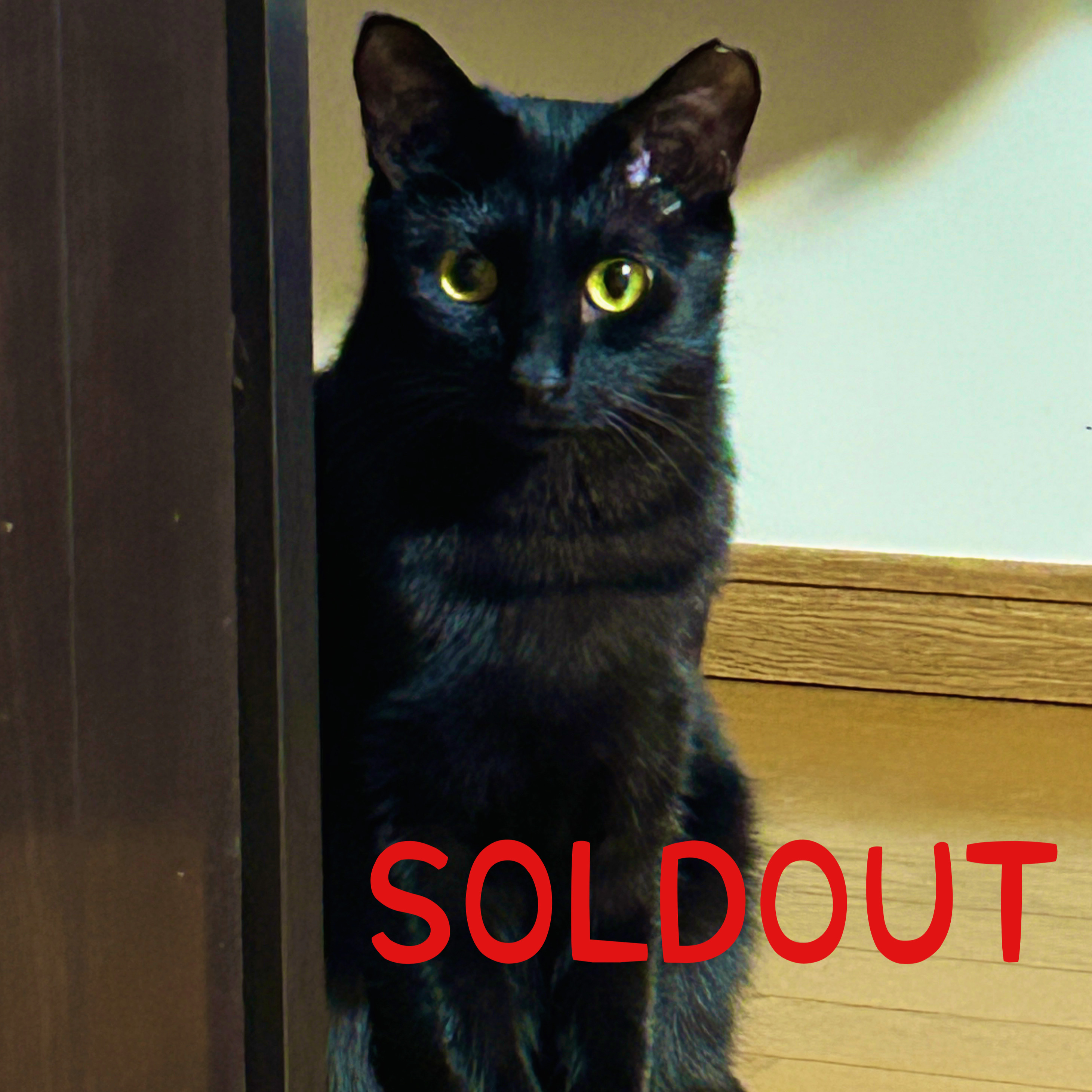 3月10日（火）14：00