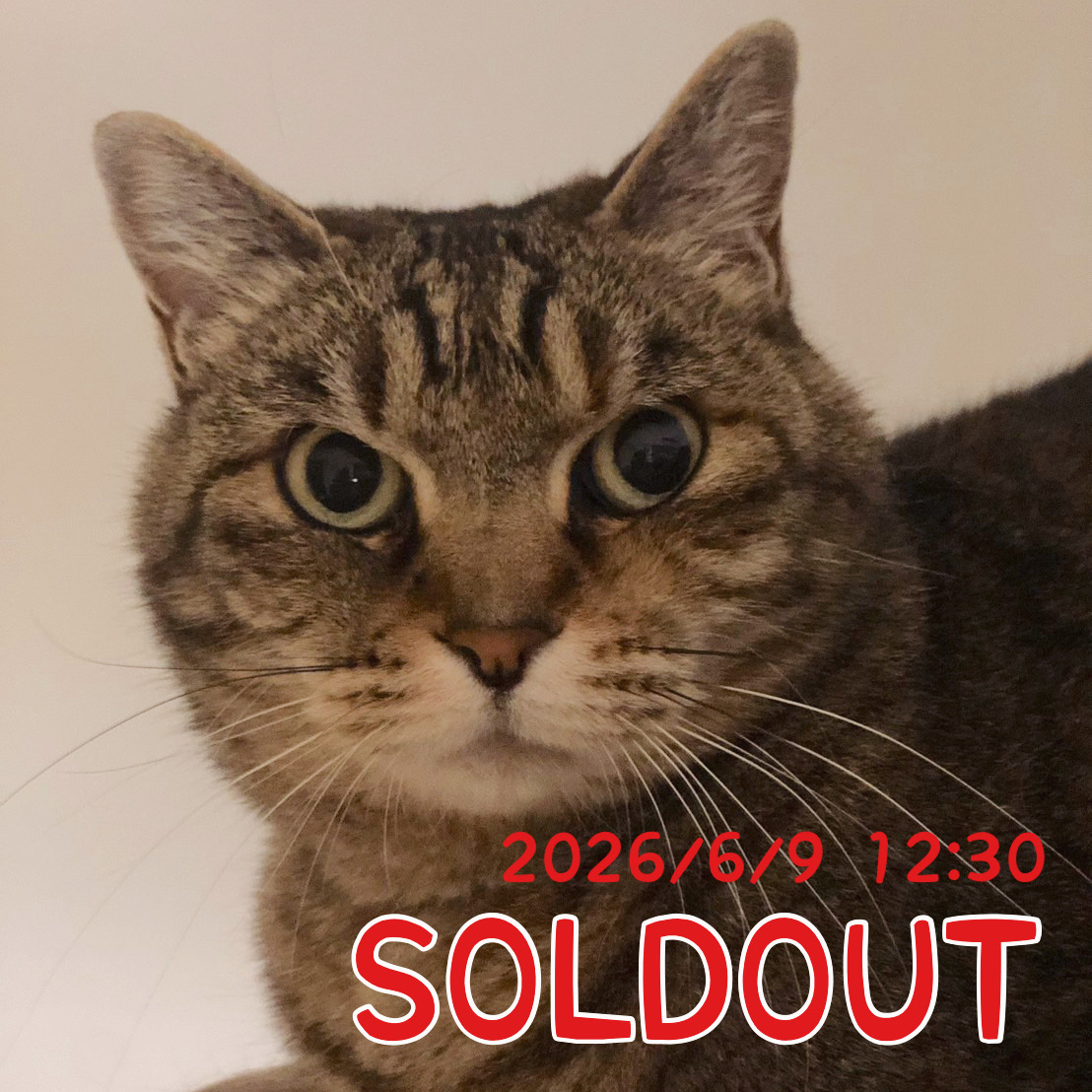 6月9日（火）SOLDOUT
