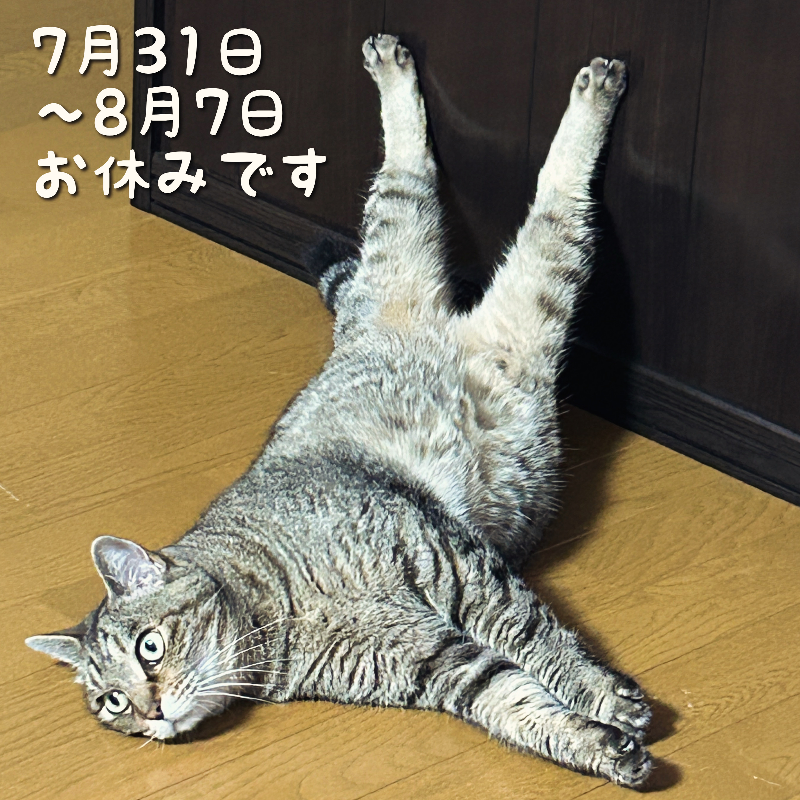 ショコラ